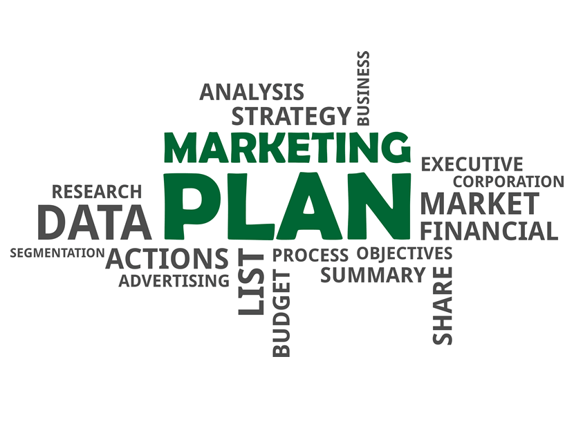 Marketing Plan Text